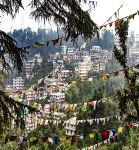 Adventurous Chandrakhani Pass Trek in Himachal Pradesh
