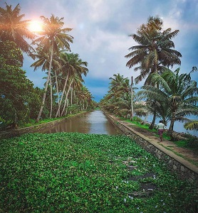 4 Days Munnar Alleppey Tour Package